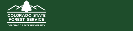 CSFS Banner