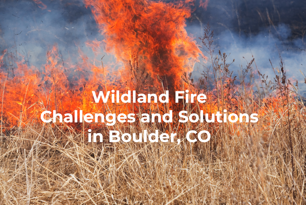 Wildland Fire